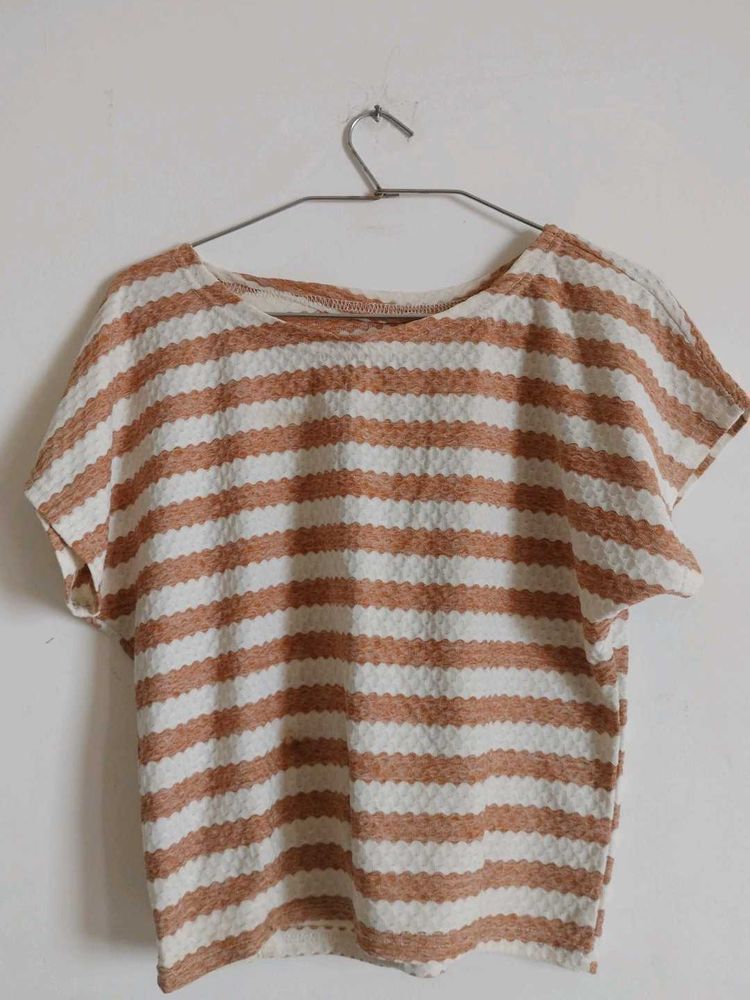 Striped Crop T-shirt(Brown&amp;White)