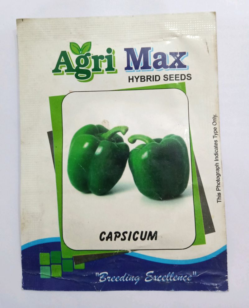 Combo Seeds Capsicum, Tomato,Kale&amp;Lettuce