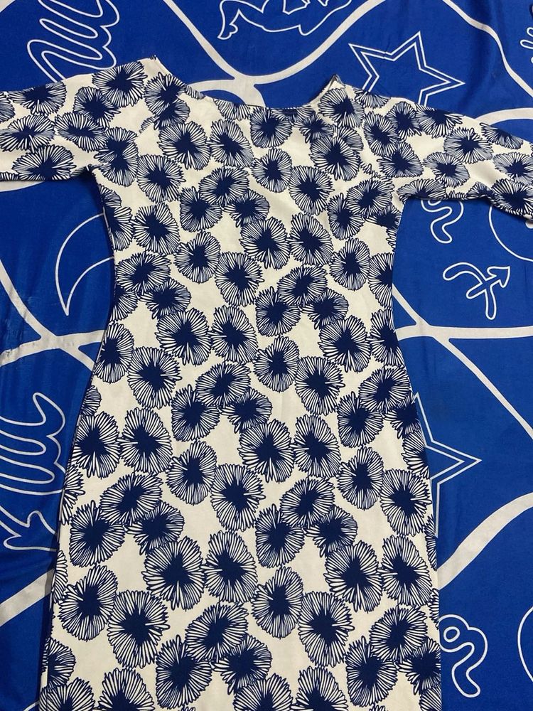 Blue &amp; White Floral Print Dress