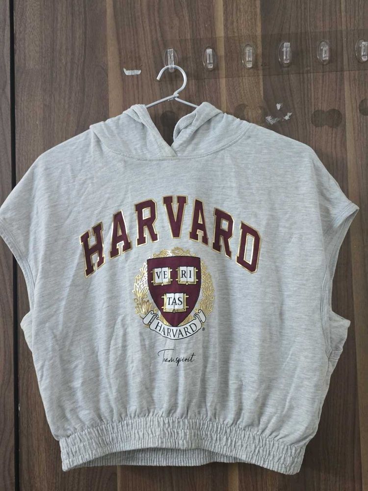 Harvard Graphic Hoody Top