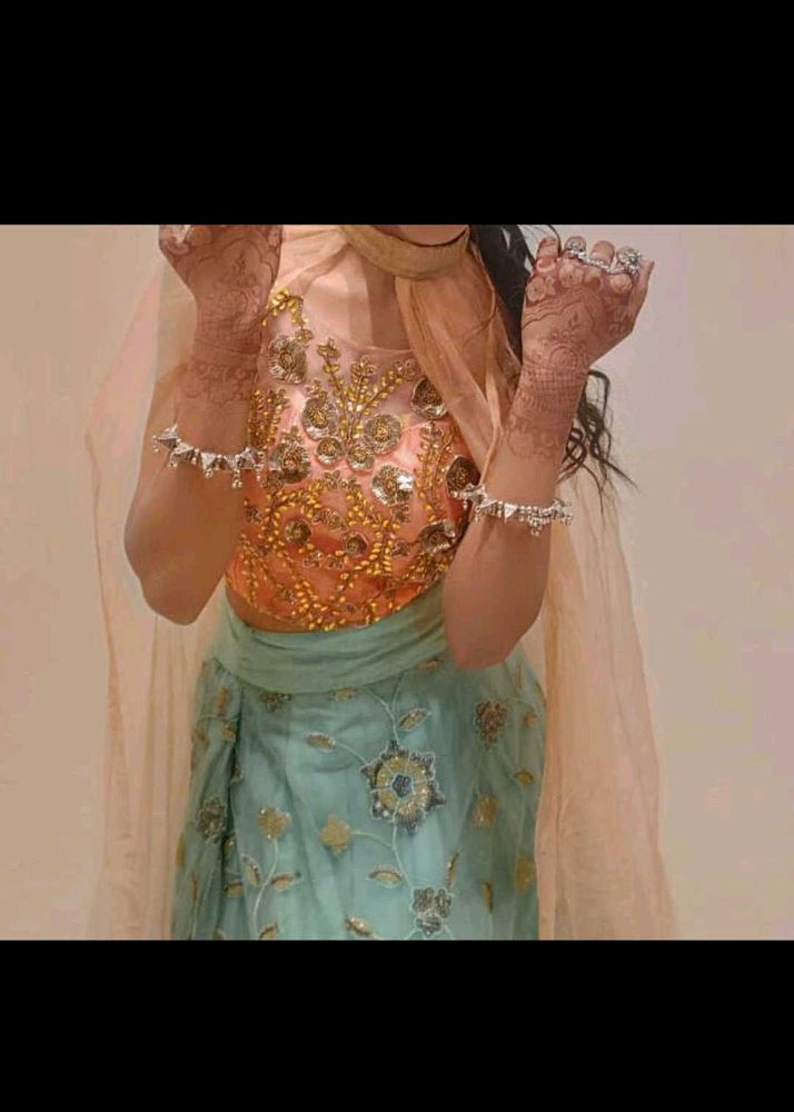 Embroidered Lehenga Choli Set