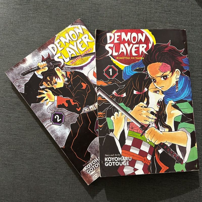 Demon Slayer Manga vol. 1 &amp; 2