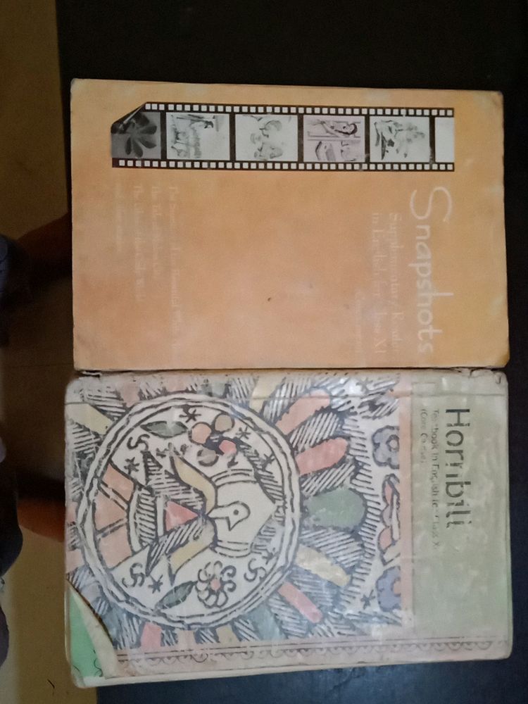 English Book For Class 11 Snapshot And Hornbill