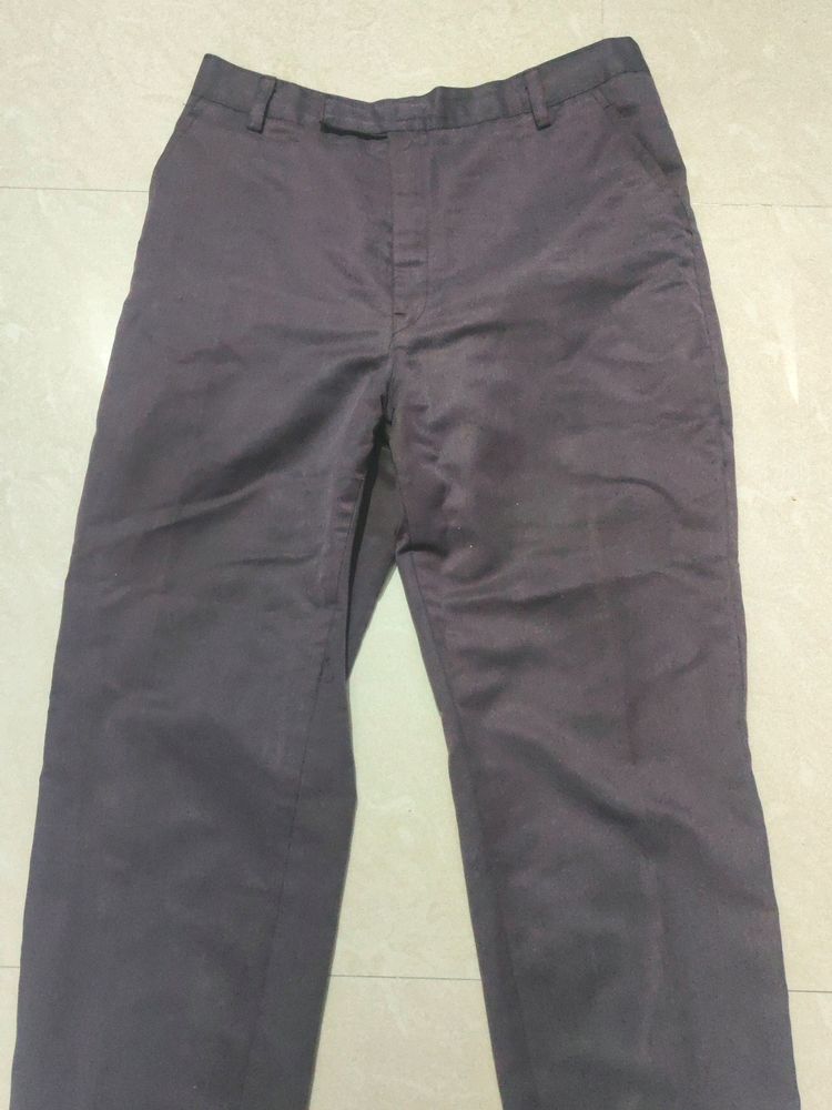 Dark Brown Formal Pants