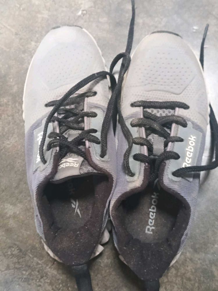 Reebok Sneakers
