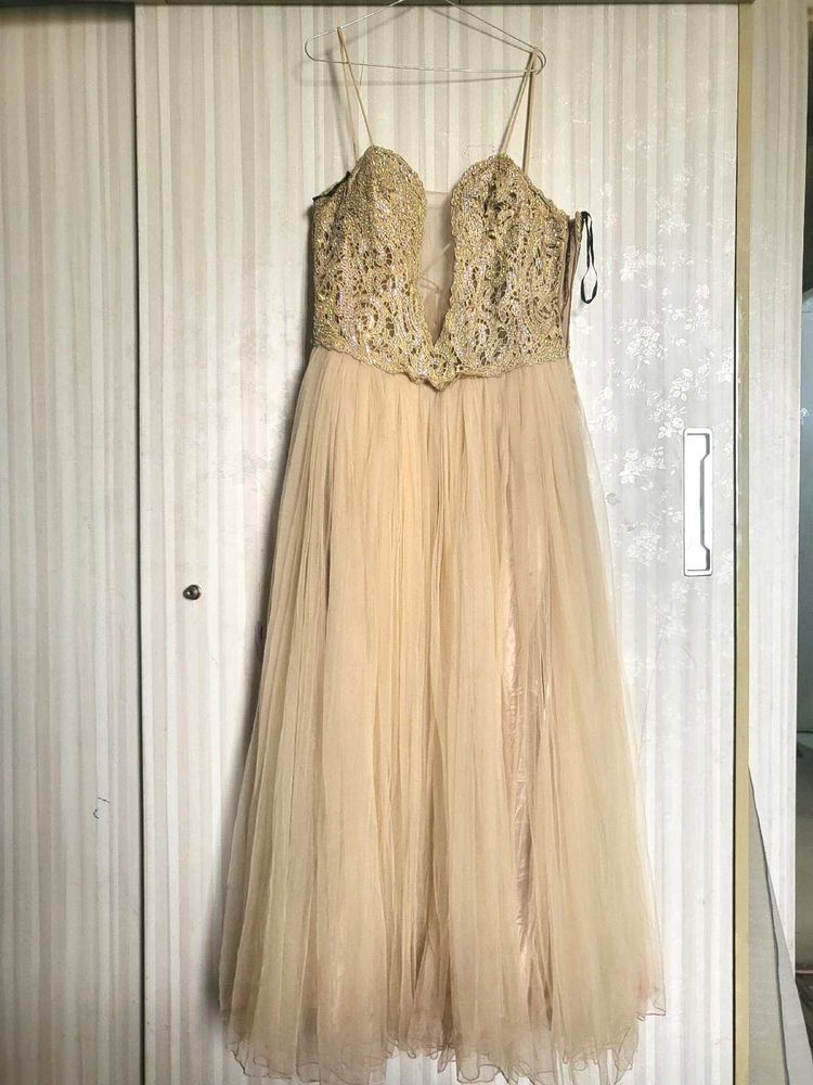 Elegant Ethnic Gown