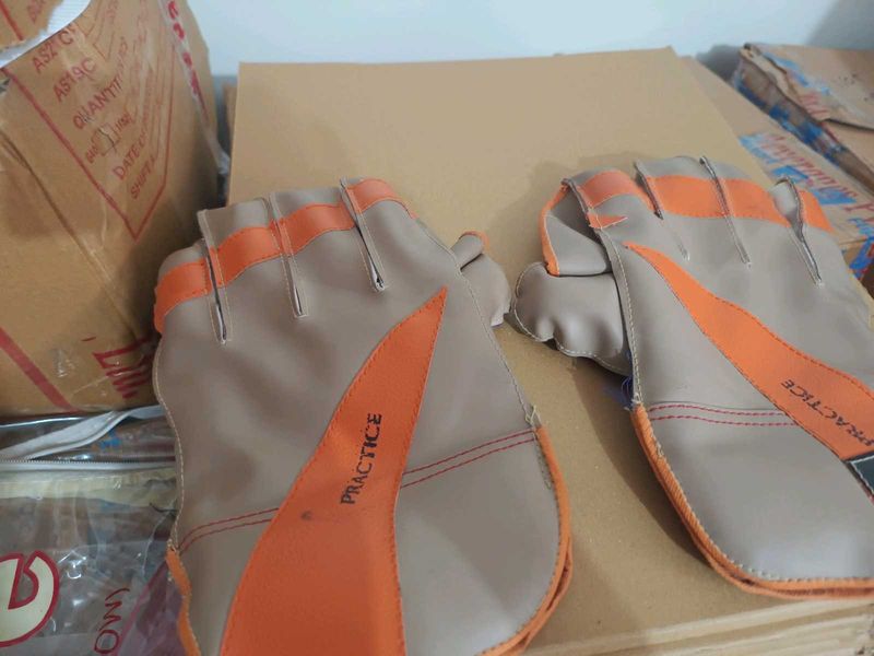 Cricket Batting Gloves
