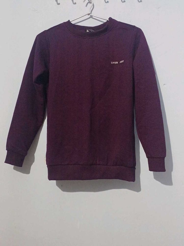 Burgundy And Sea Green Crewneck Sweater