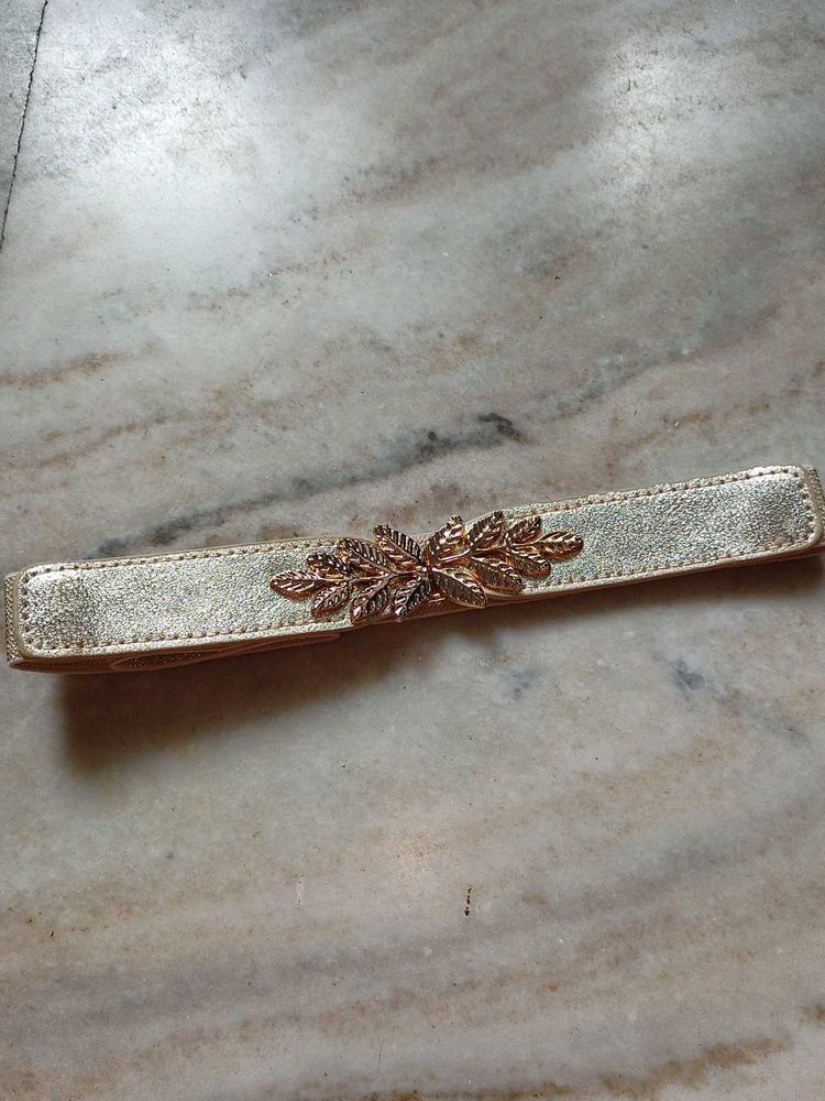 Golden Sleek Belt SALE