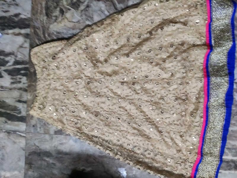 Embellished Ethnic Skirt