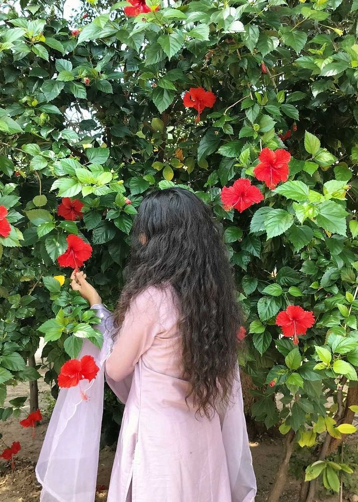 Elegant Kurtaset for wedding