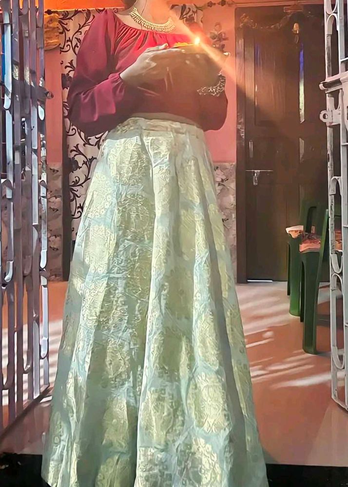 Elegant Embellished Ethnic Skirt