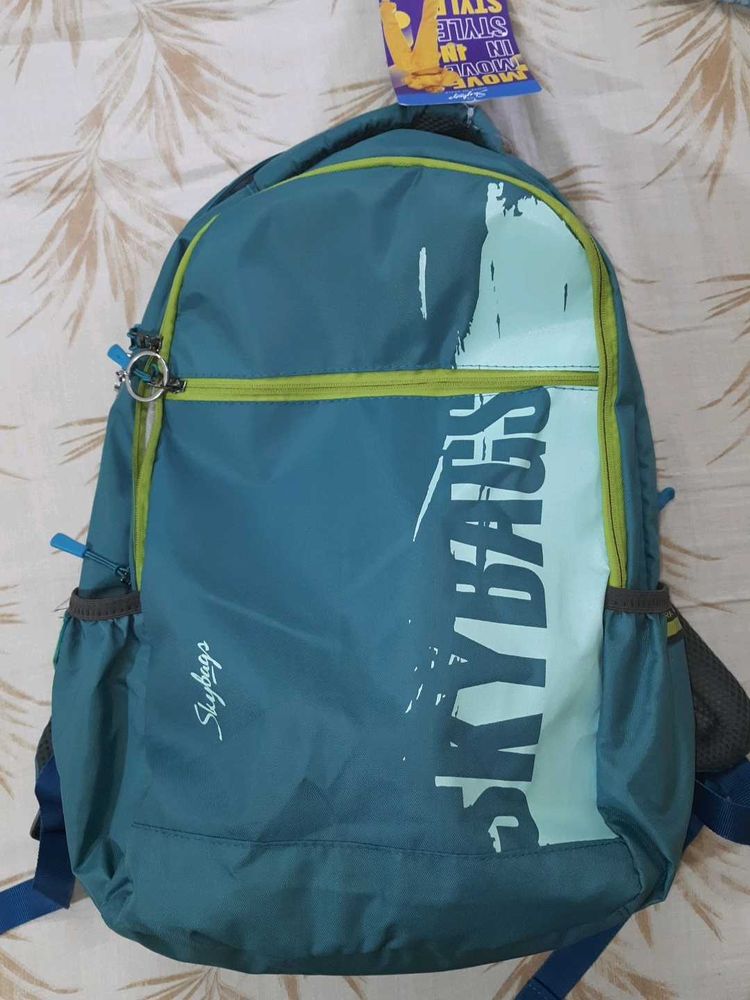 Skybags Backpack