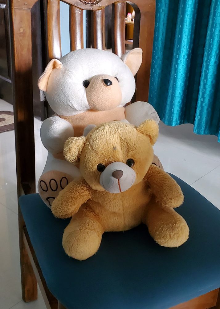 Soft Toys Combo Big And Small Teddy