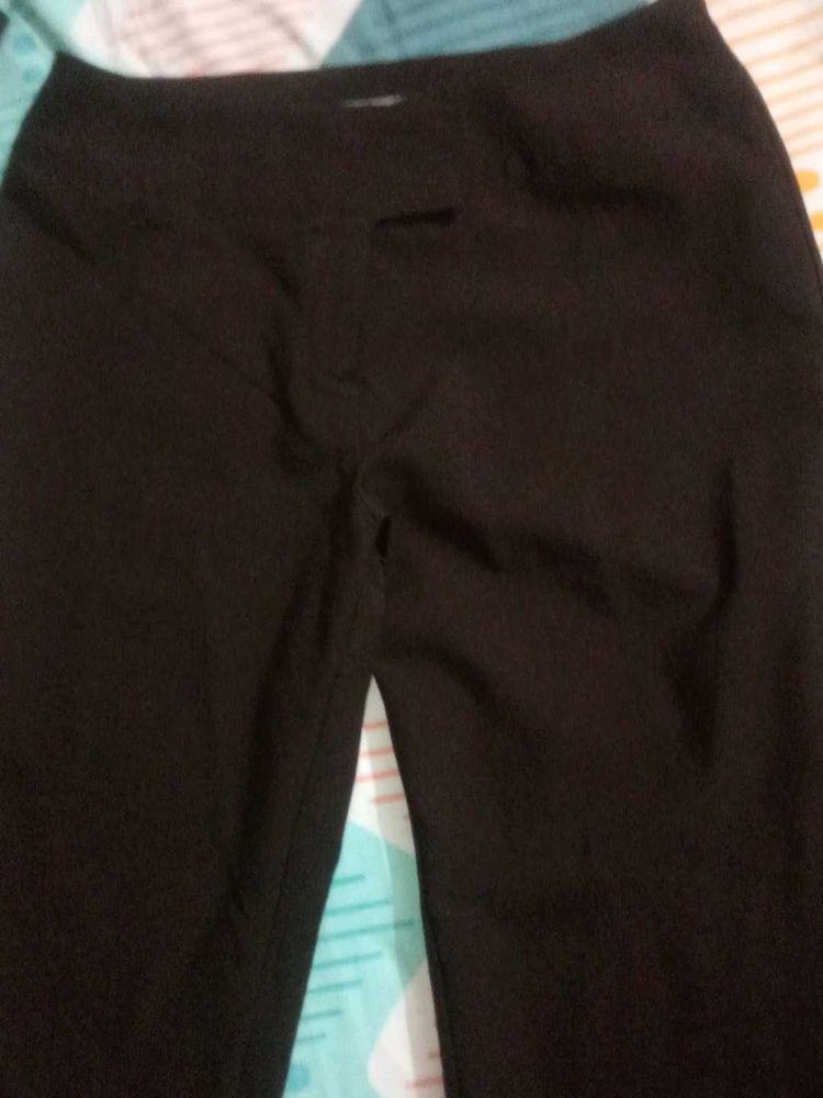 Coffee Brown Dress Pants