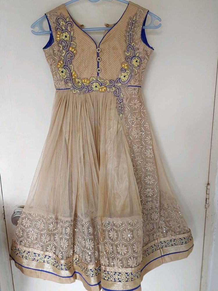 Elegant Ethnic Dress