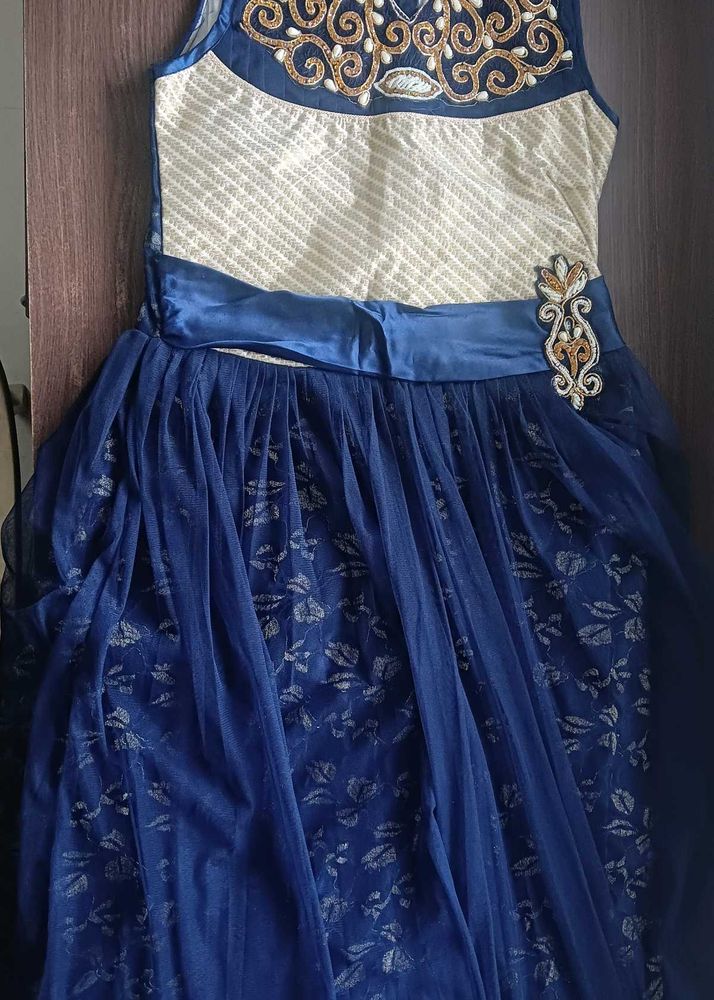 Elegant Blue Women&#39;s Ethnic Dress