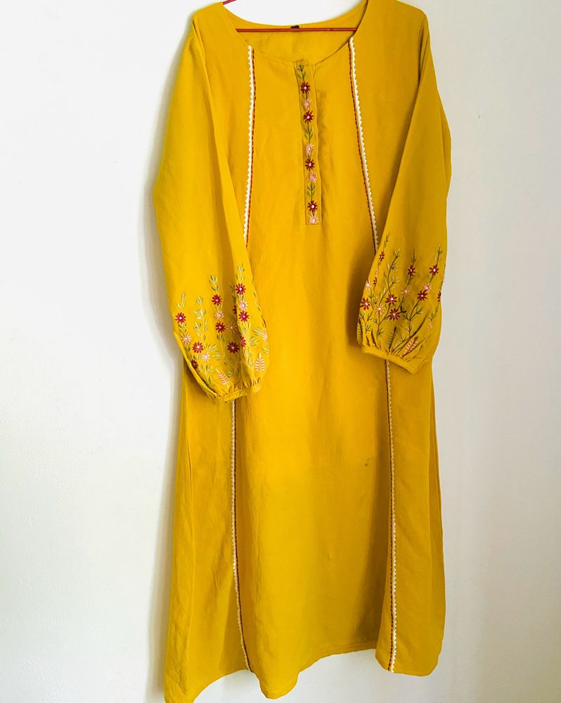 ❌No Coins, Only Cash❌A Beautiful Embroidered Dress
