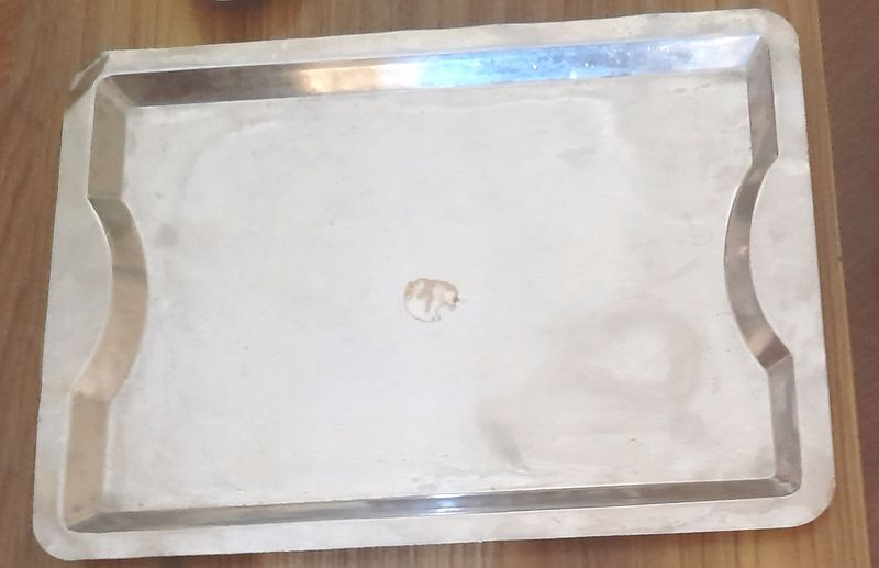 New Unused multipurpose Stainless Steel Tray