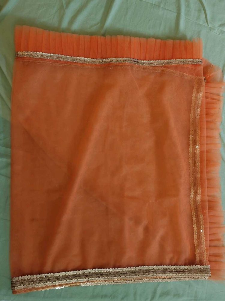 ✨ Handmade Orange Net Pallu/Dupatta with Golden Bo
