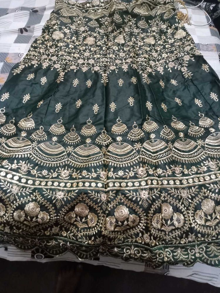 Elegant Lehenga Choli