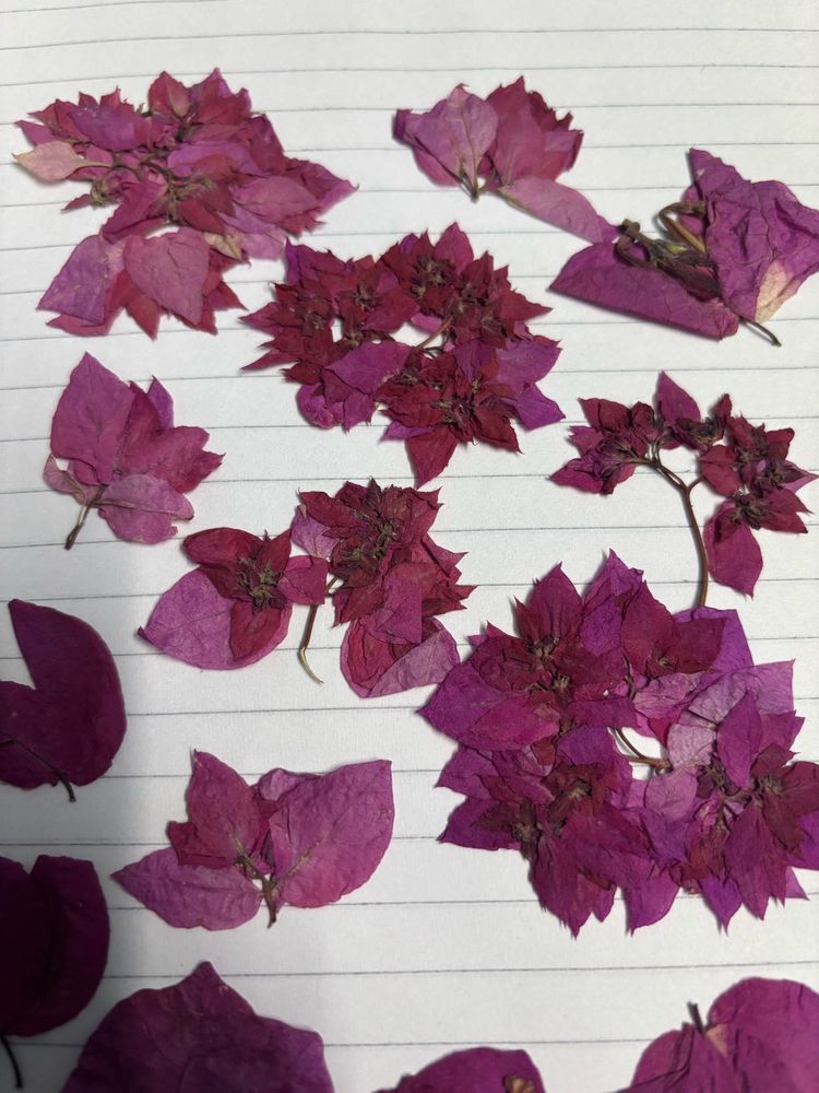 dry flowers for resin art