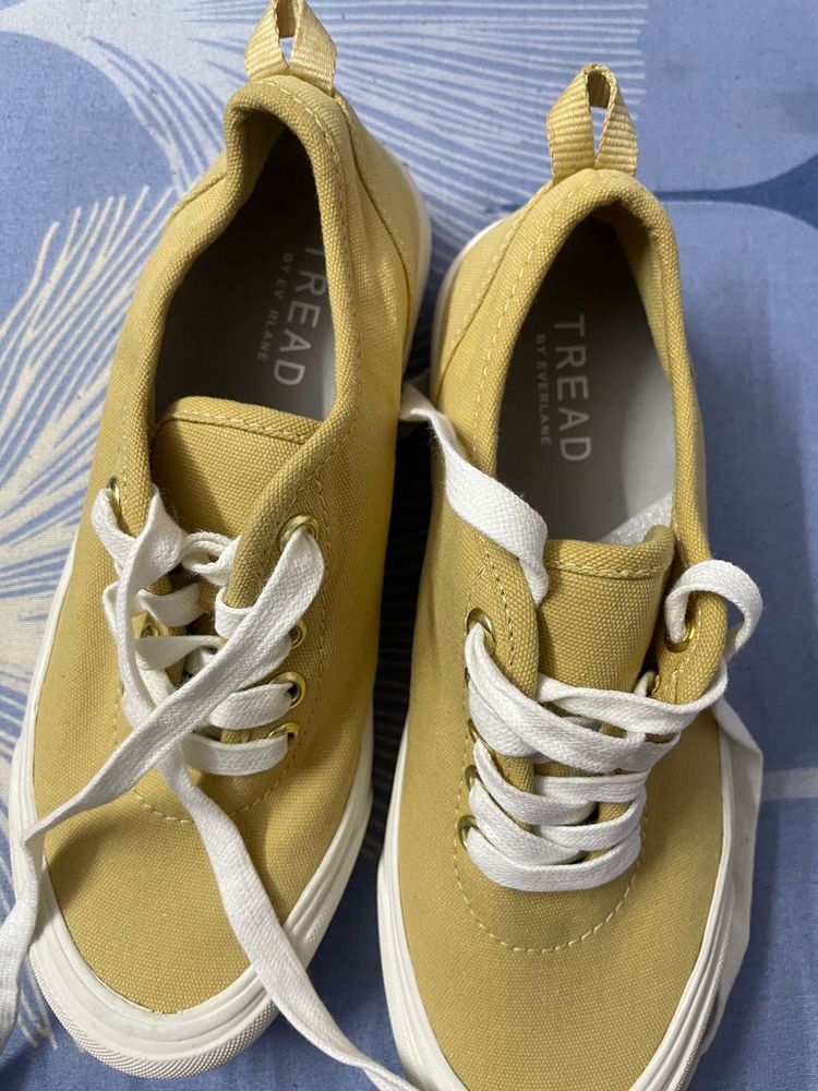 Everlane Tread Sneakers