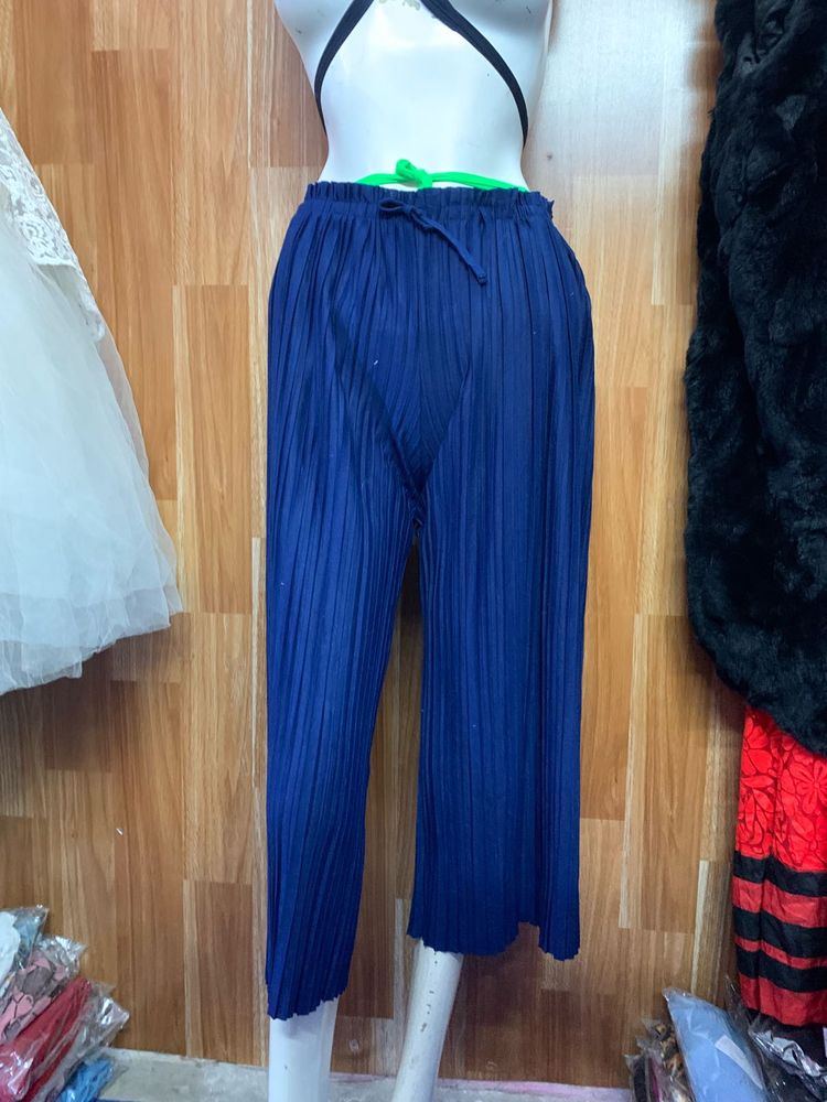 Beautifull Plazo Pant 18mar28