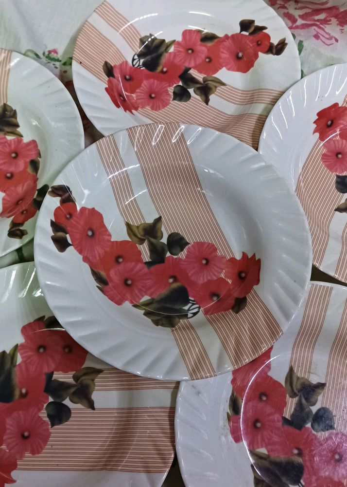 Fiber Plates 🍽️