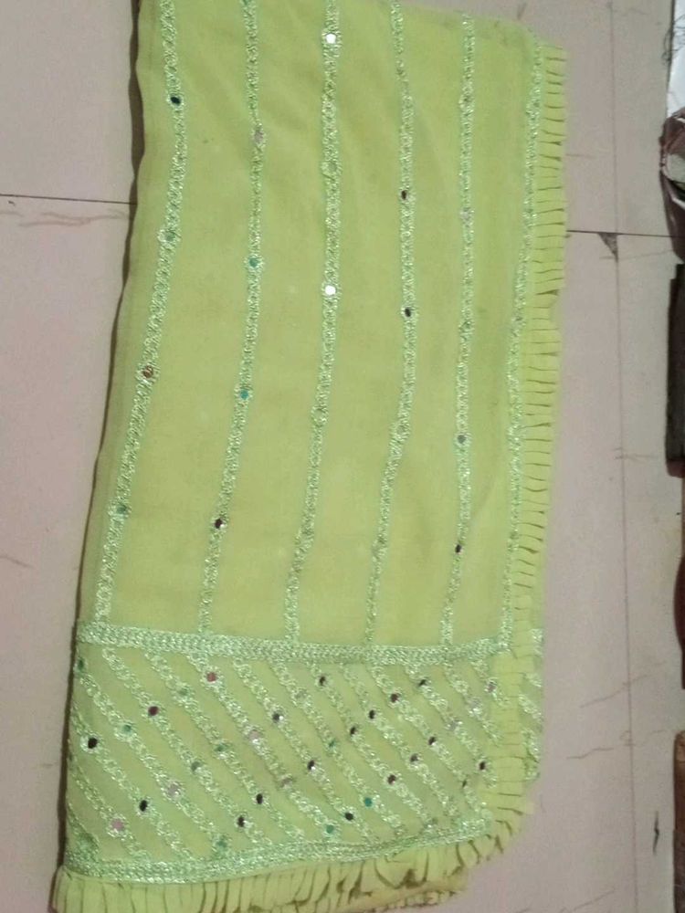 Light Green Embellished Saree