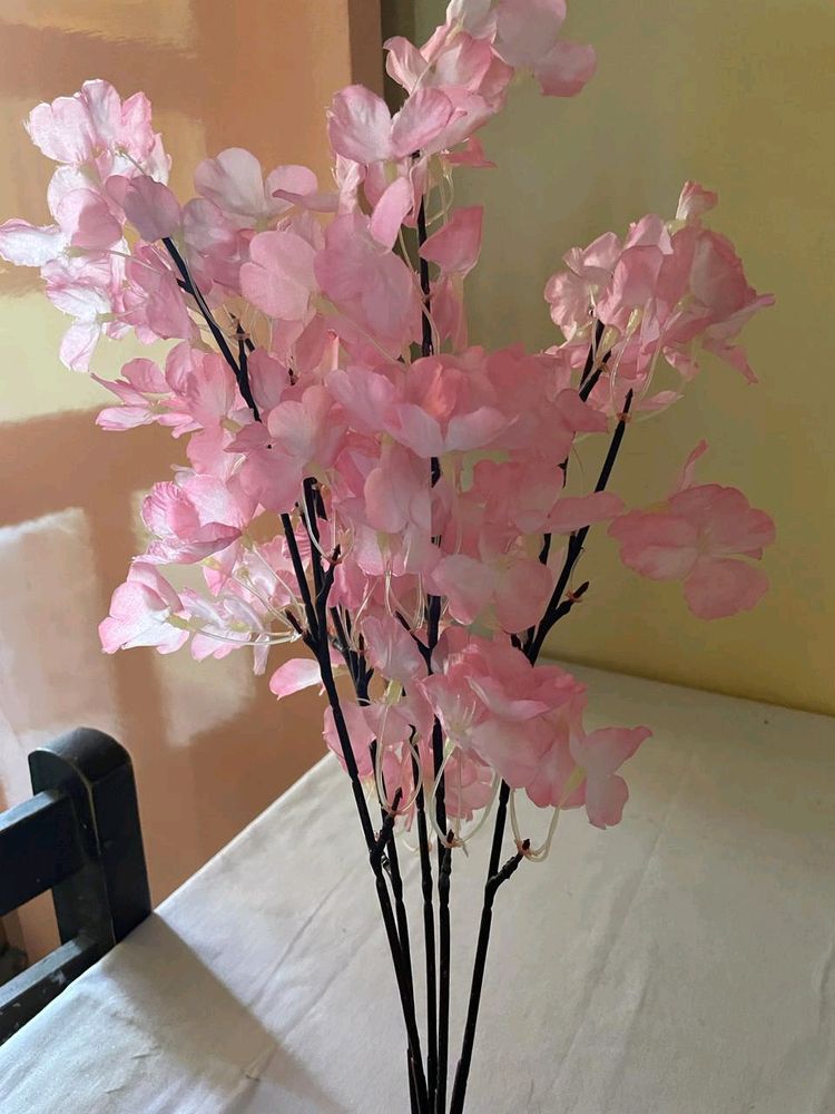 Beautiful Flowers