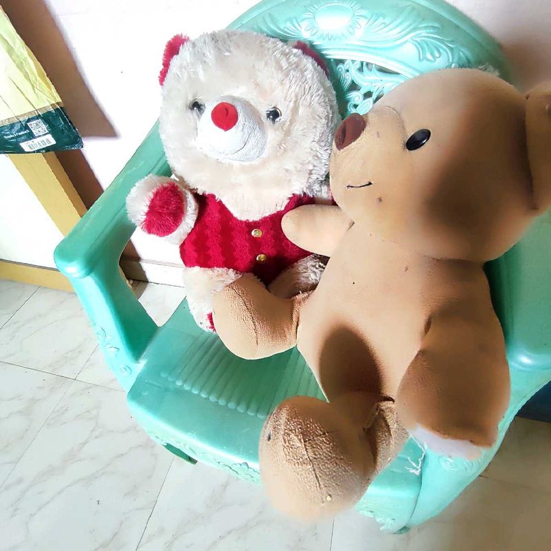 teddy 🧸 combo 😍 2pcs