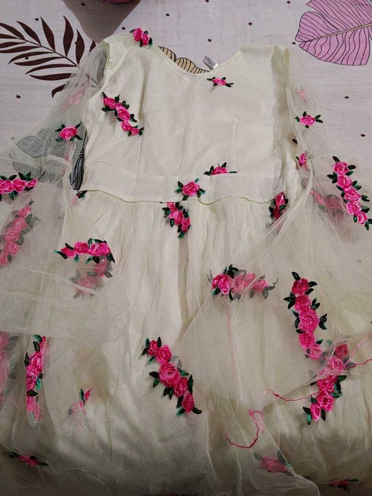 Floral Embroidered Party Dress