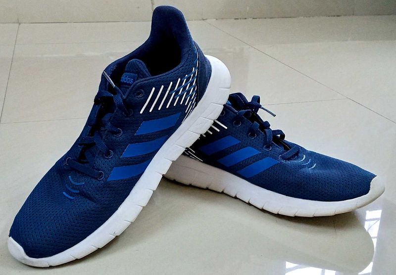 Adidas Blue Sneakers/Sports Shoes