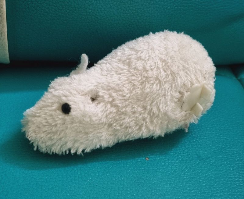 White Mouse