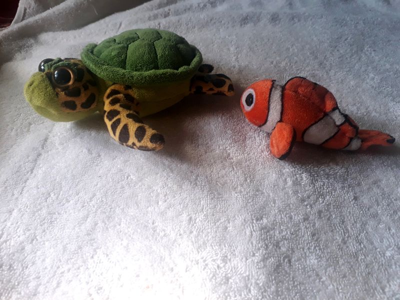 Soft Toys 🐢