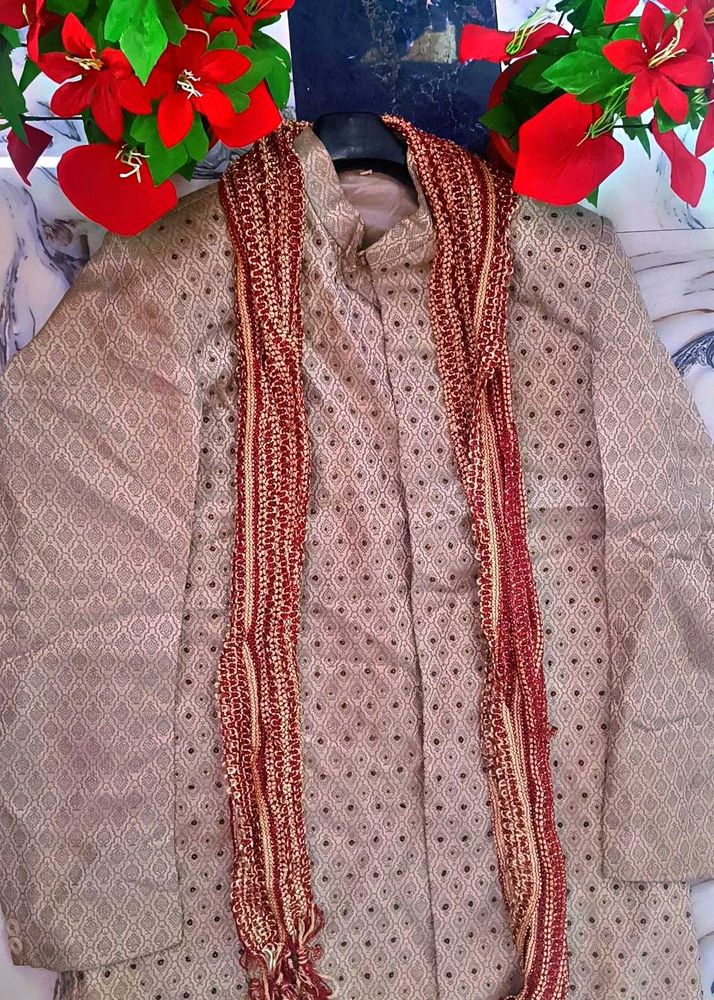 Men Sherwani Festive Wear
