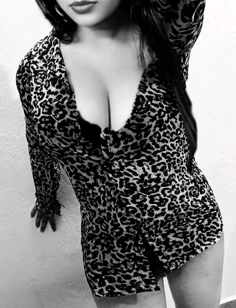 Animal Print Mini Dress