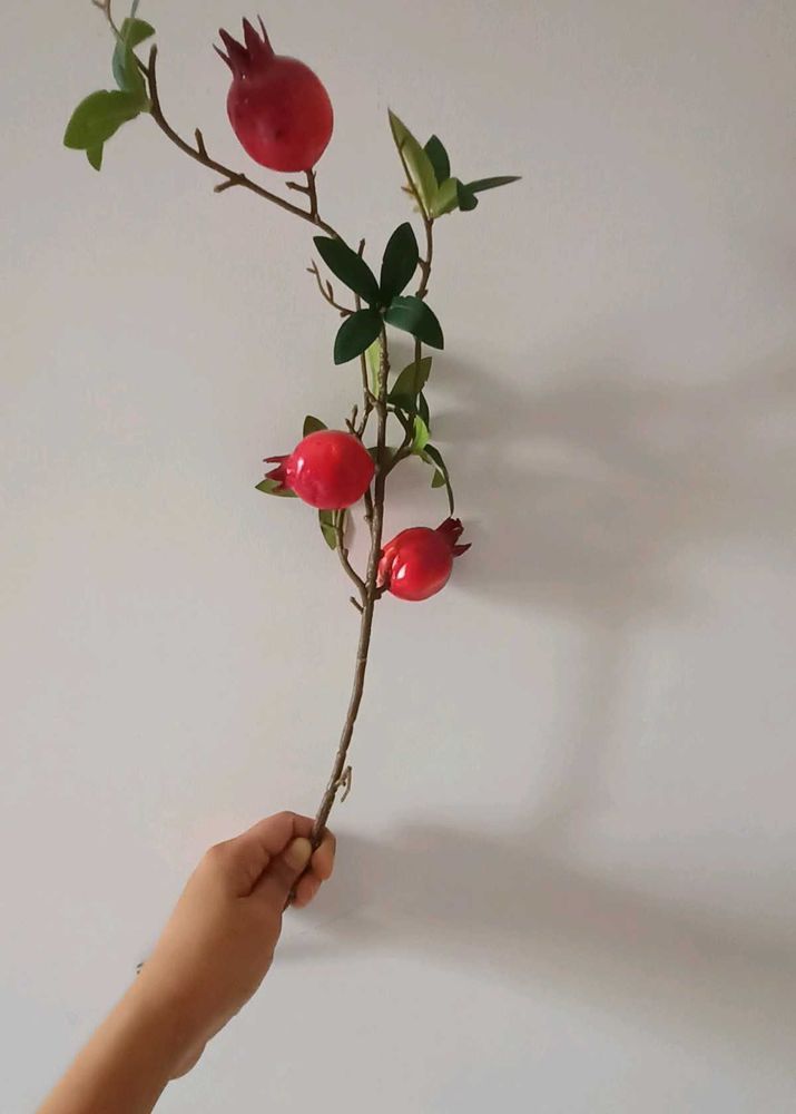 Home Centre&#39;s  Pomegranate Sticks