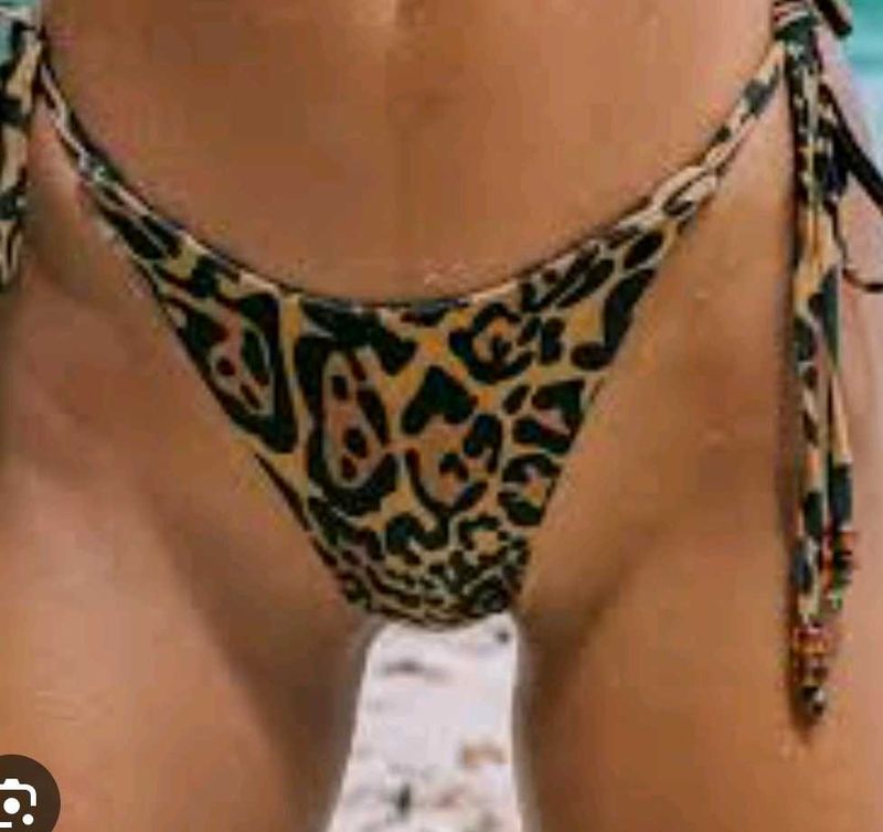 Animal Print 🐾