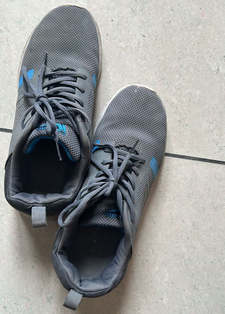 Gray &amp; Blue Sneakers