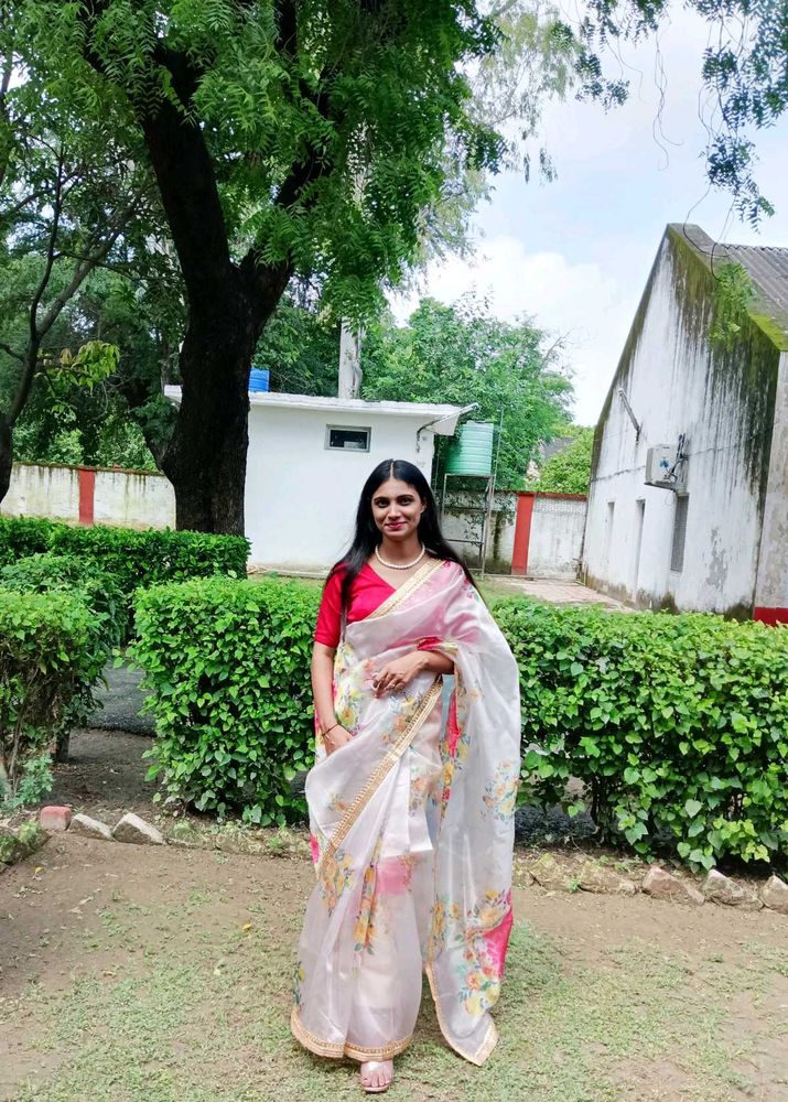 Organza Saree