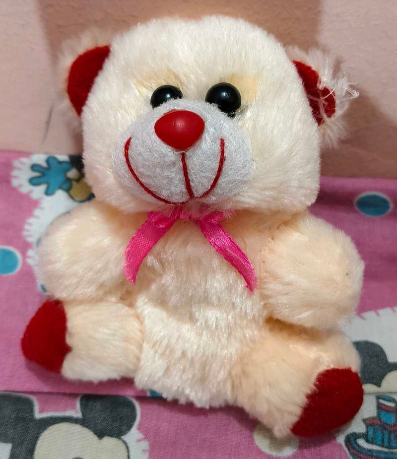 Adorable Teddy Bear Plushie