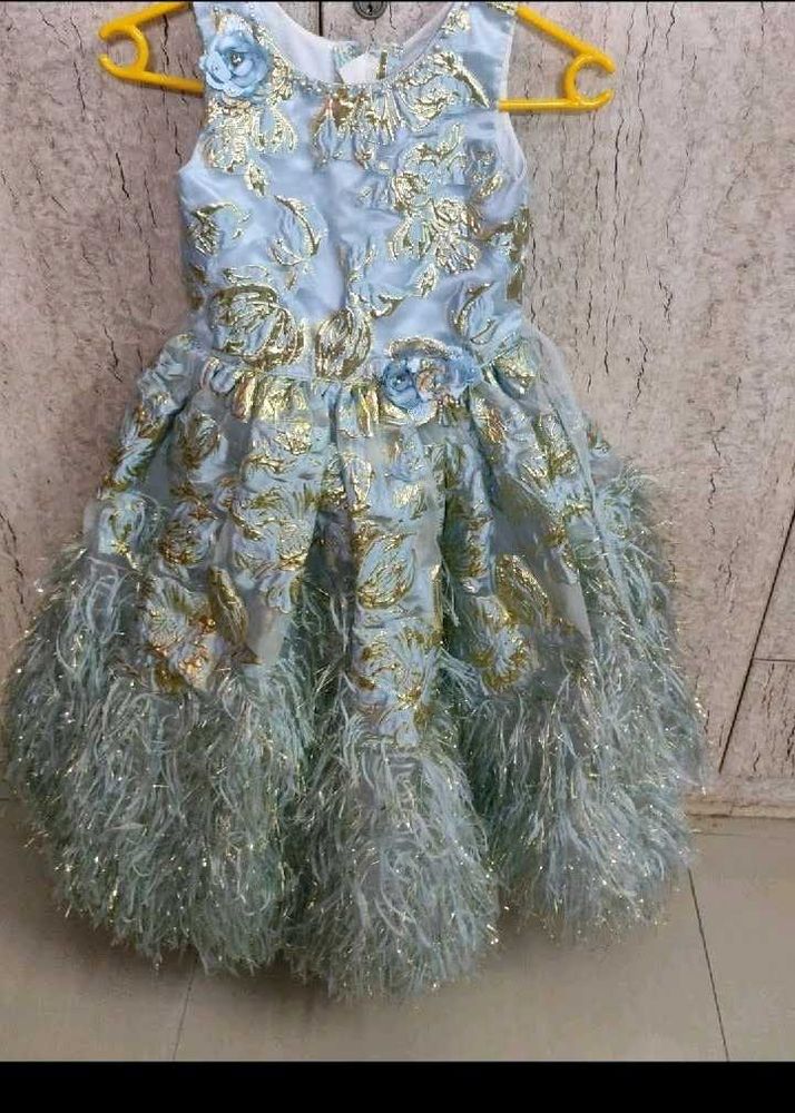 Girl&#39;s Feathered Party Dress