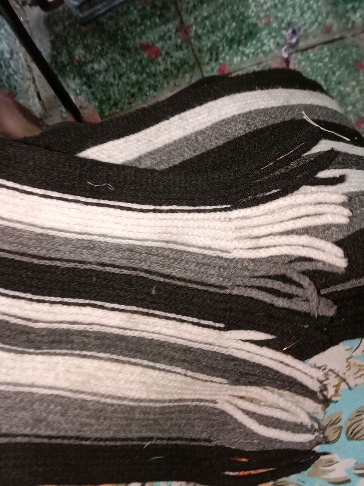 Muffler