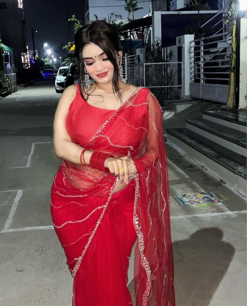 Red Net Saree