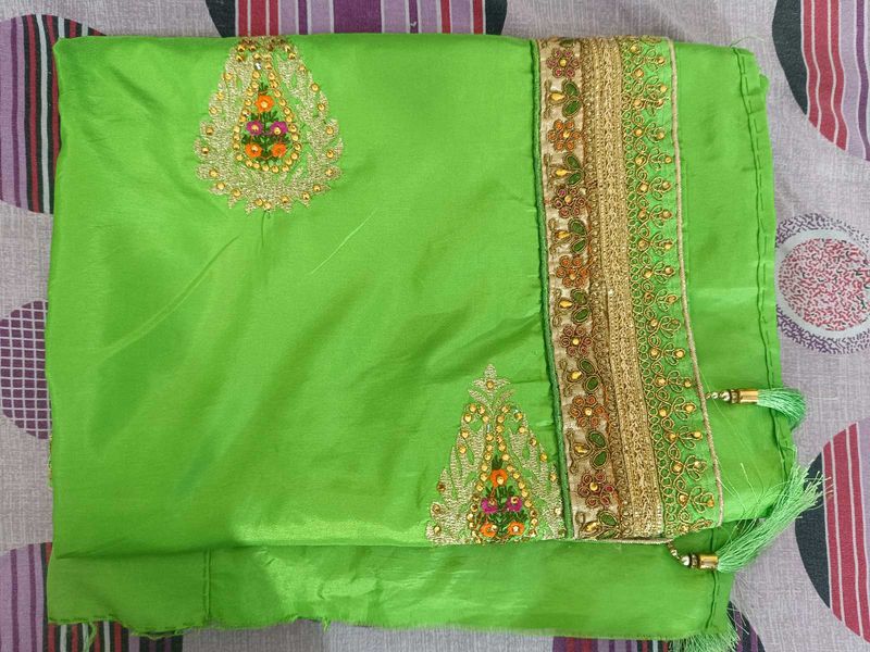 Green Embellished Saree