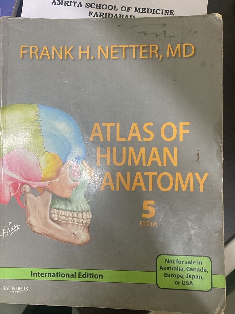 Netters Atlas For Visualisation Of Anatomy