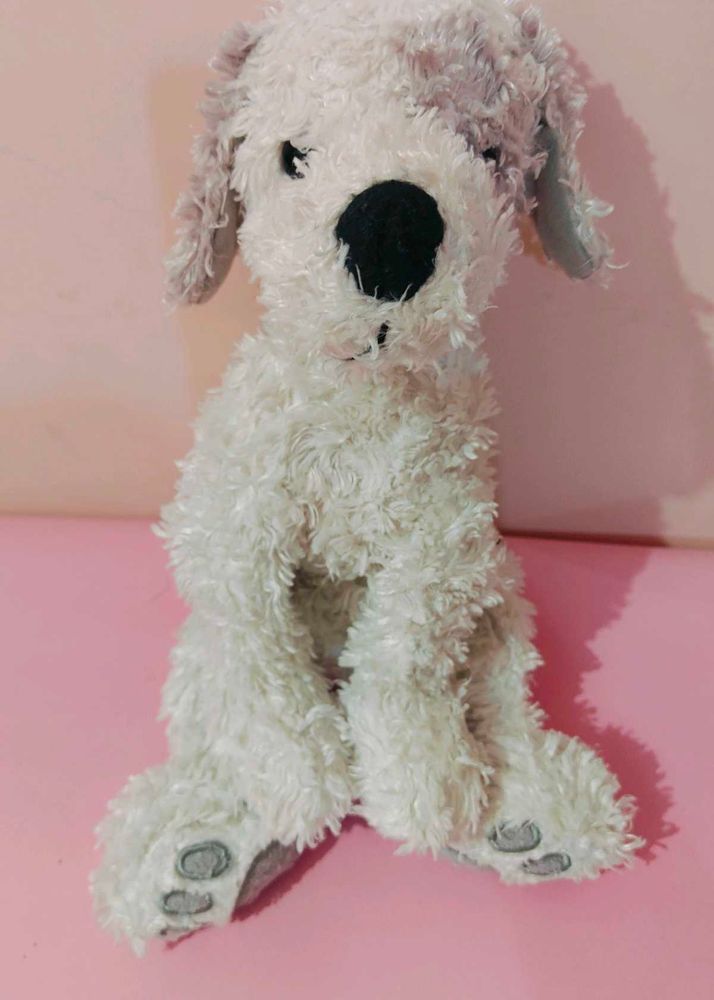 Cute Plush Puppy