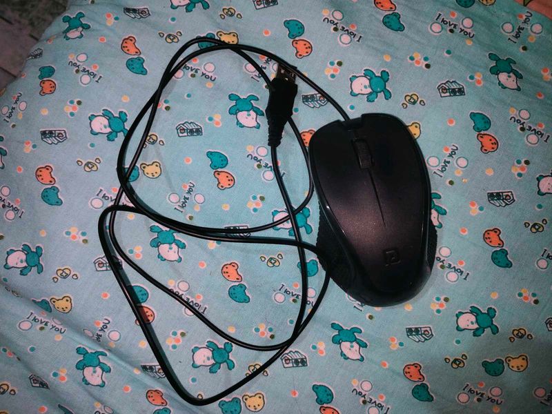 Mouse